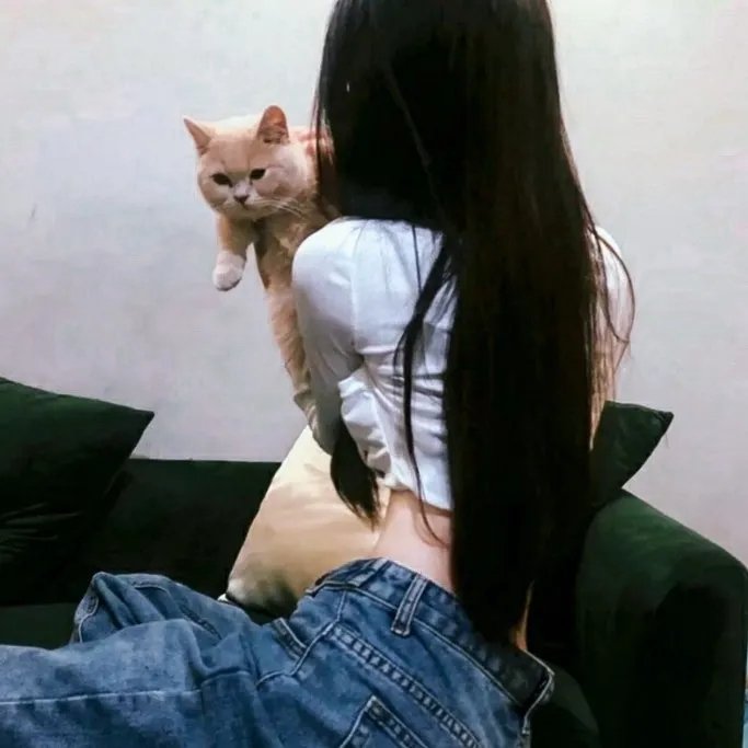 双胞胎乌龙:翻倍的兄弟情